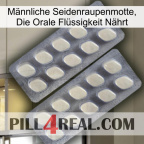 Männliche Seidenraupenmotte, Die Orale Flüssigkeit Nährt 07
